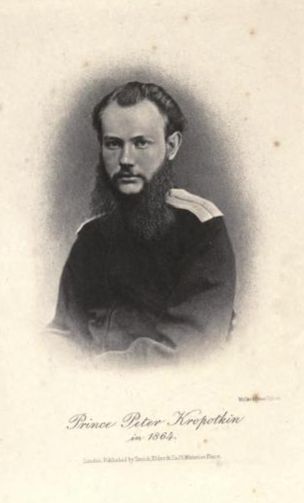 inline image, see preceding text for description